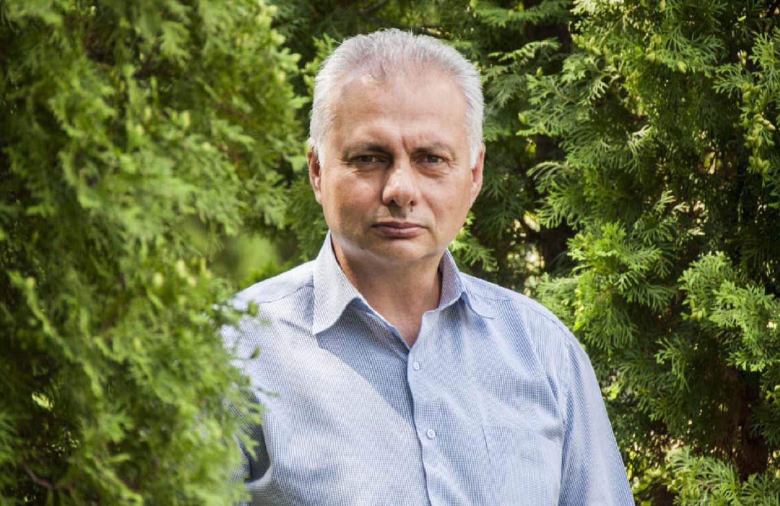 Прокуратура Полтавщини оголосила підозру головному лісничому області