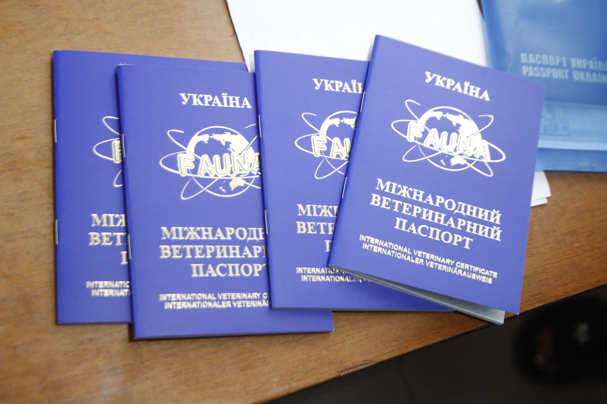 Де в Полтаві можна отримати ветеринарно-санітарний паспорт домашнього улюбленця