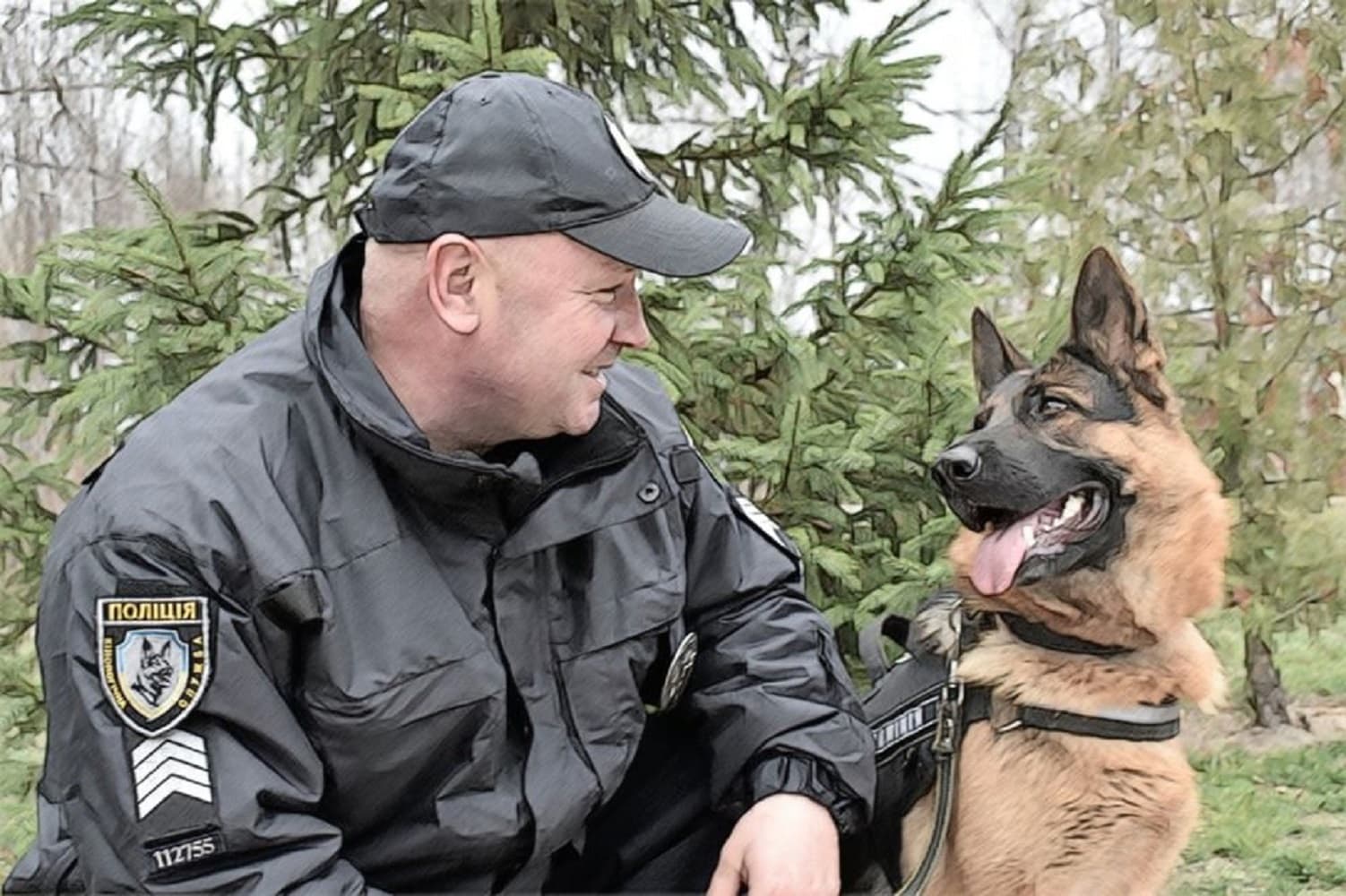 Як Гера шукала вибухівку на Донбасі – полтавська поліція створює комікси про службову собаку