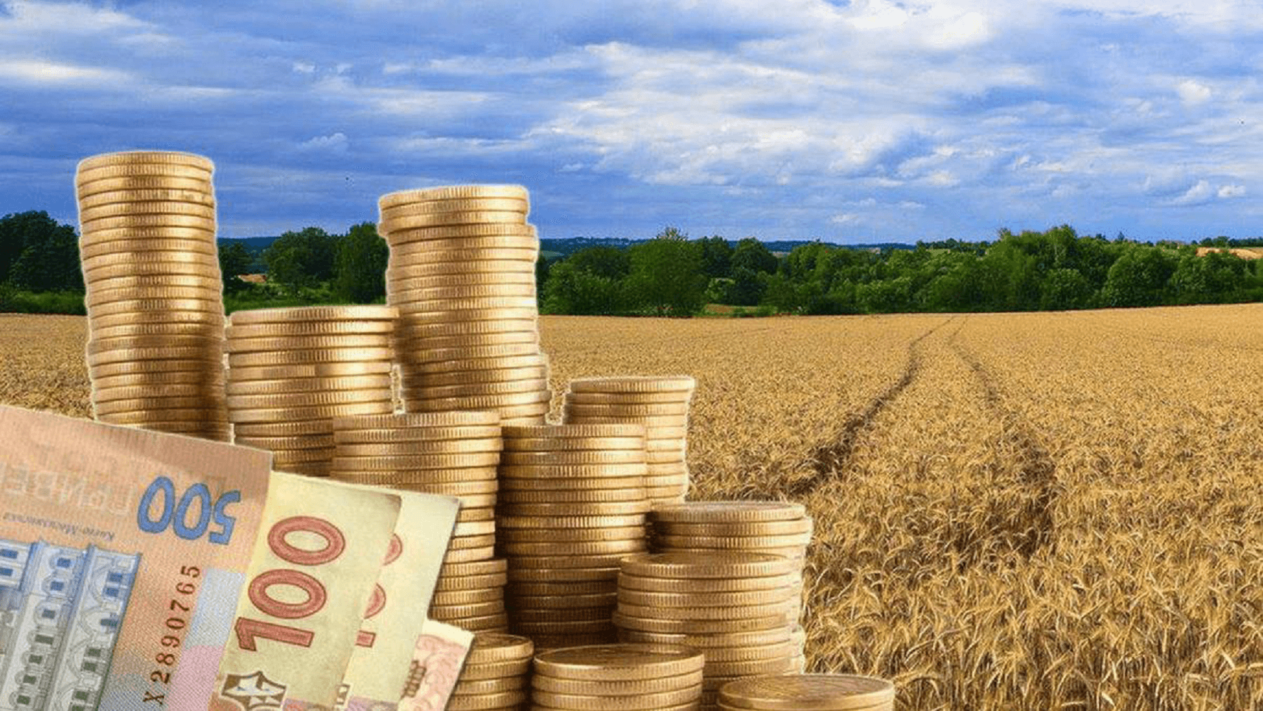 Ветерани АТО з Полтави запропонували виплачувати їм кошти замість земельних ділянок – міська влада думає
