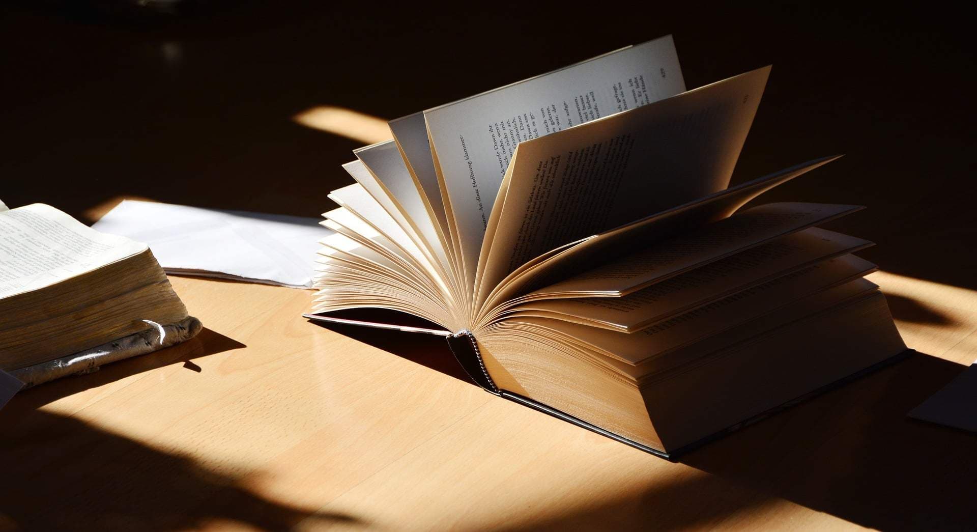 Полтавці збирають 95 тис. грн на «дивовижну» книгу про своє місто