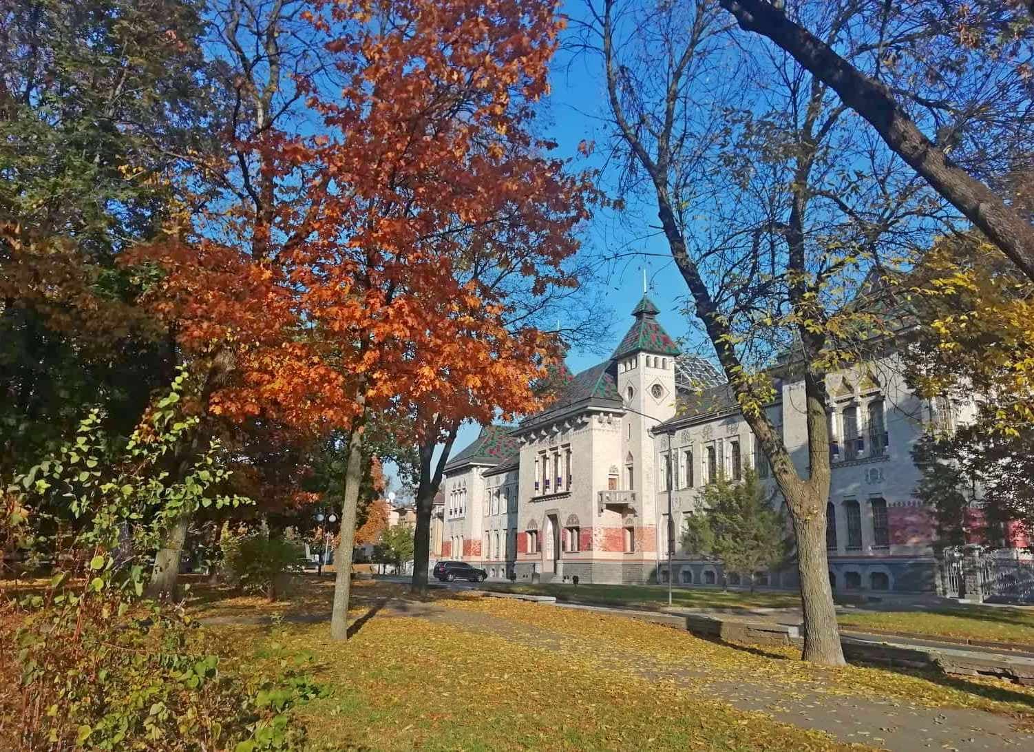 Полтавських школярів запрошують відвідати  музеї на канікулах зі знижкою