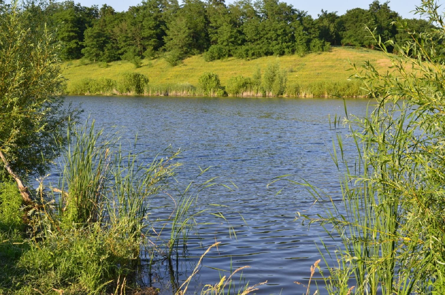 Полтавська ОДА не знає, кому здає в оренду землі водного фонду   