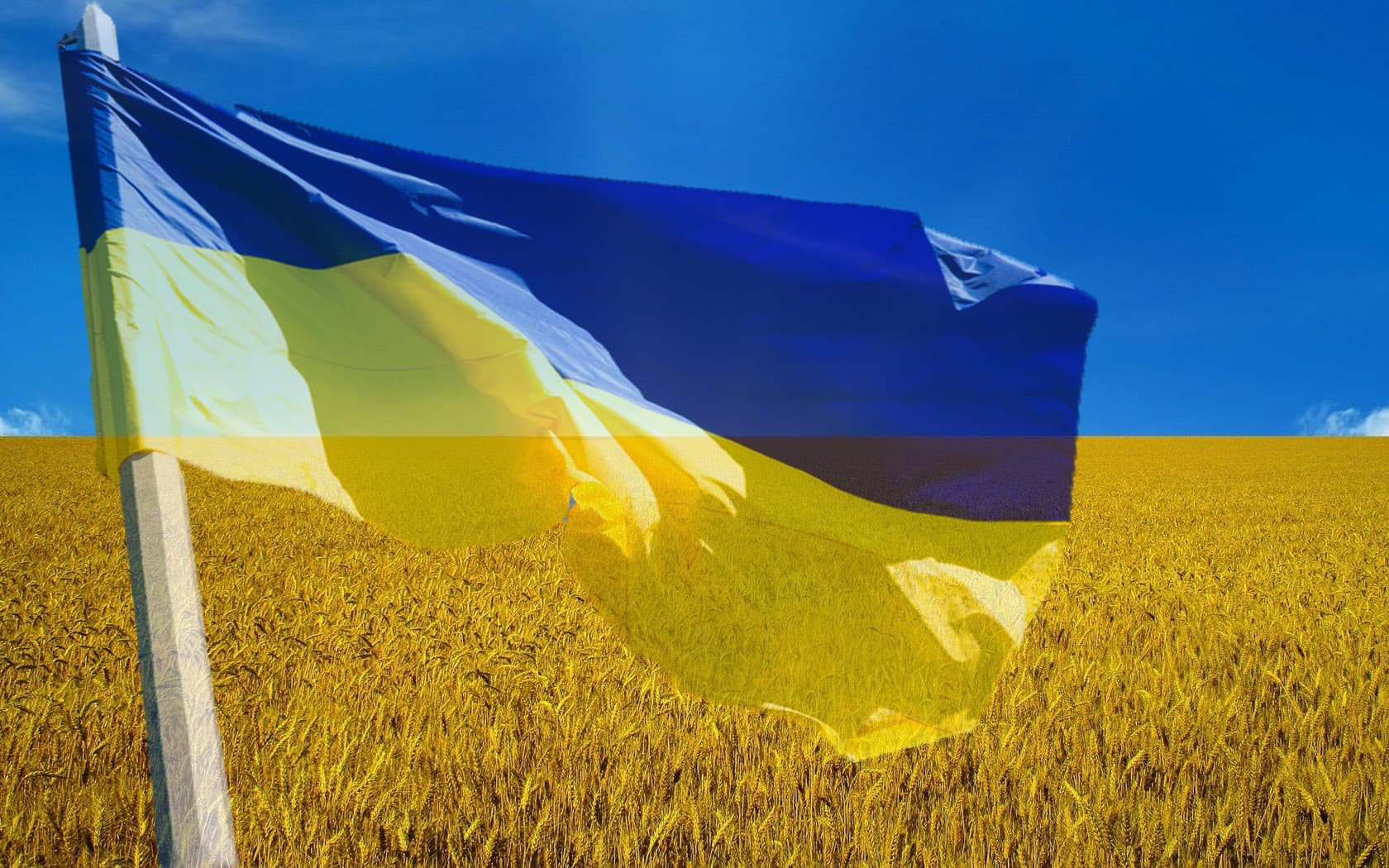 Близько 70% полтавців вважають, що країна рухається не в тому напрямку