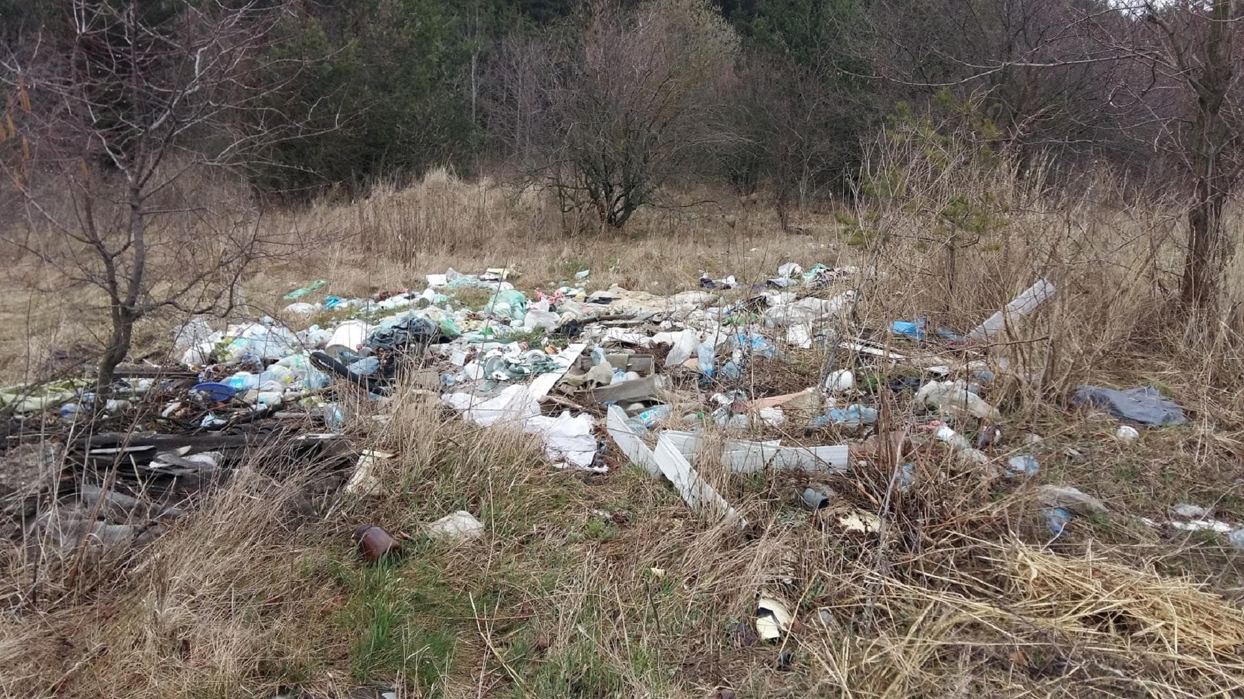 Понад півтори сотні нелегальних сміттєзвалищ виявили на території Полтави