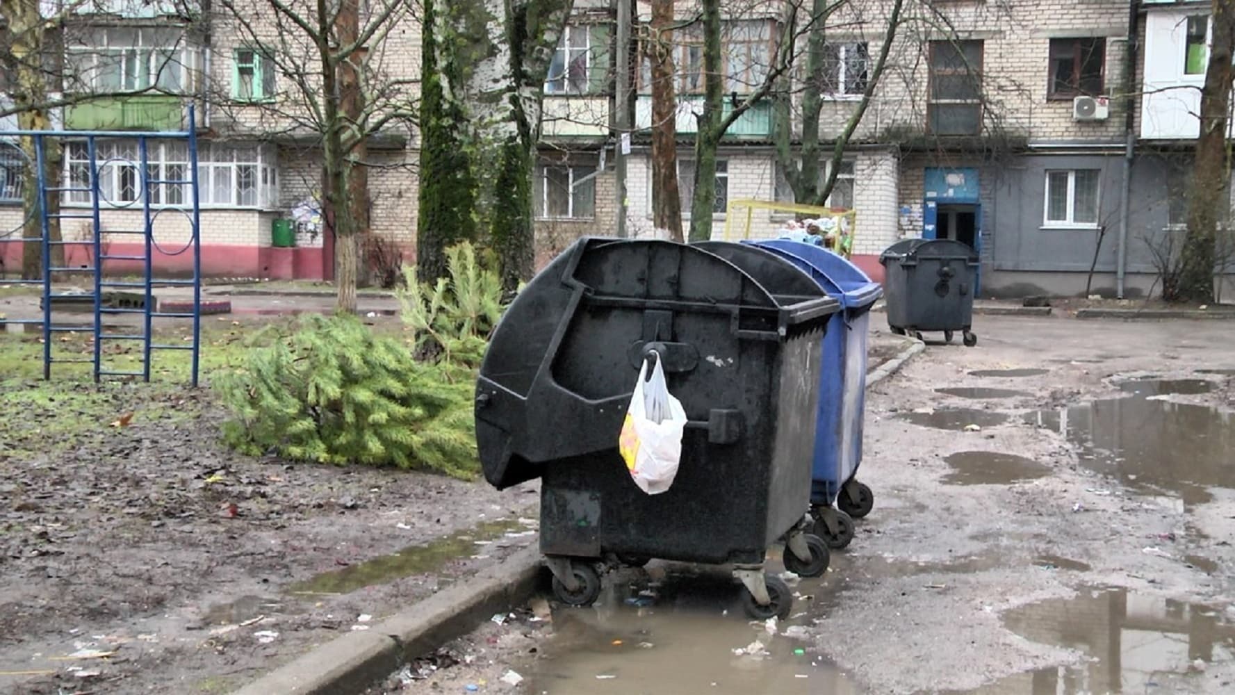 Полтавців просять не викидати ялинки до сміттєвих баків