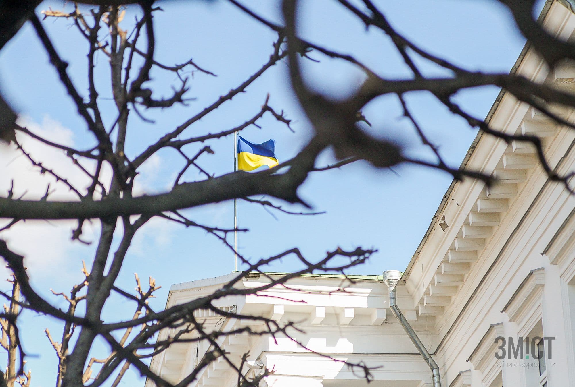 Кронування та обрізання: хто доглядає за деревами в Полтаві