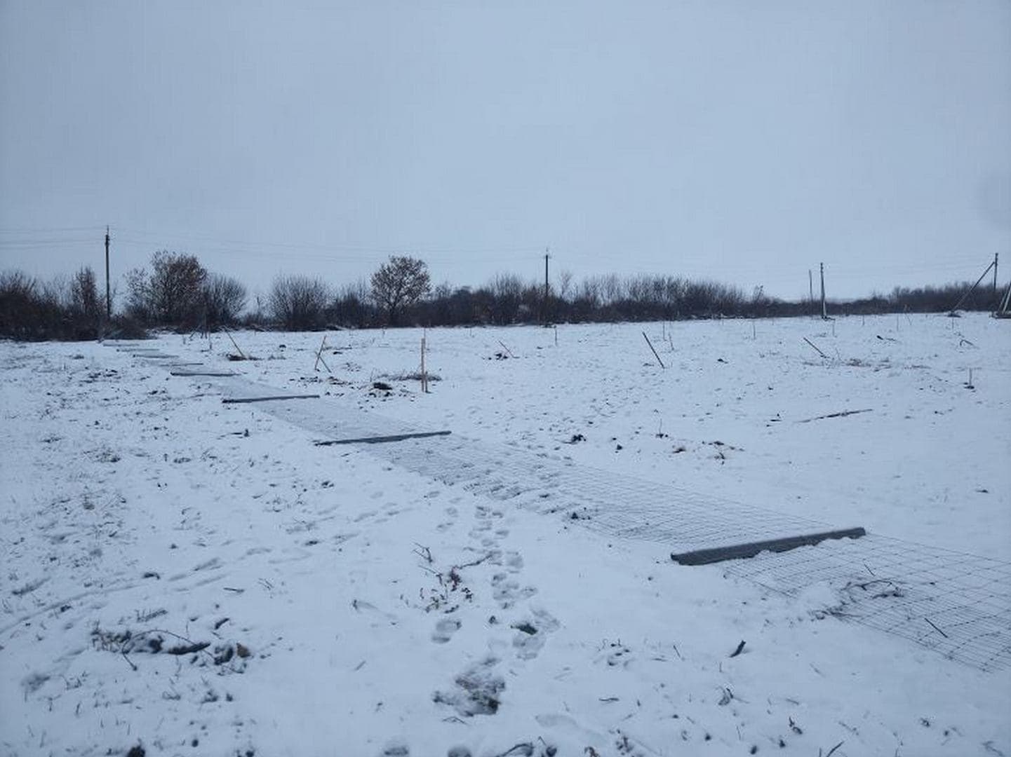 Фермер призначив грошову винагороду за інформацію про того, хто знищив його сад