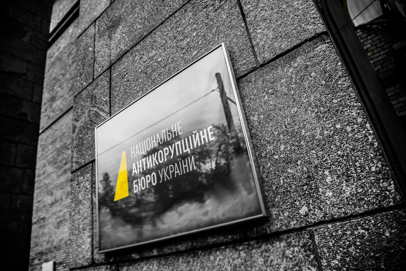 Полтавка претендує на місце в Раді громадського контролю НАБУ