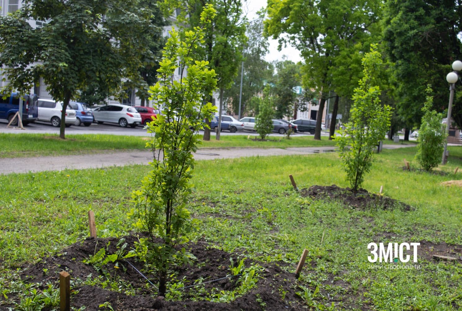 У Полтаві комунальники висадили 250 дерев та кущів: перелік адрес
