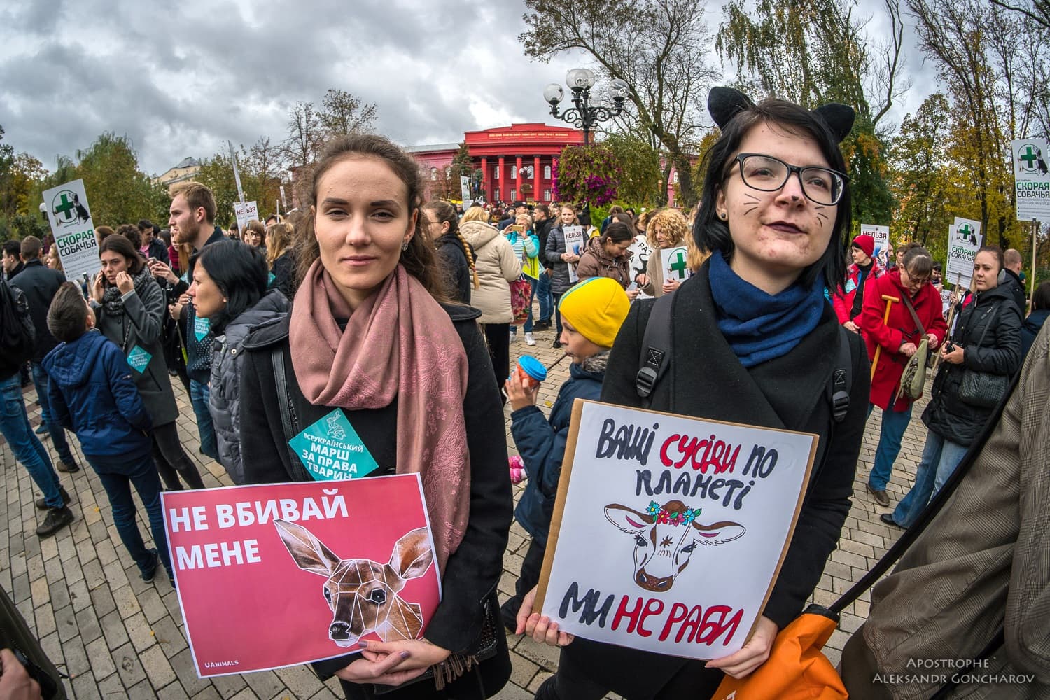 Полтавців запрошують долучитись до підготовки маршу за права тварин