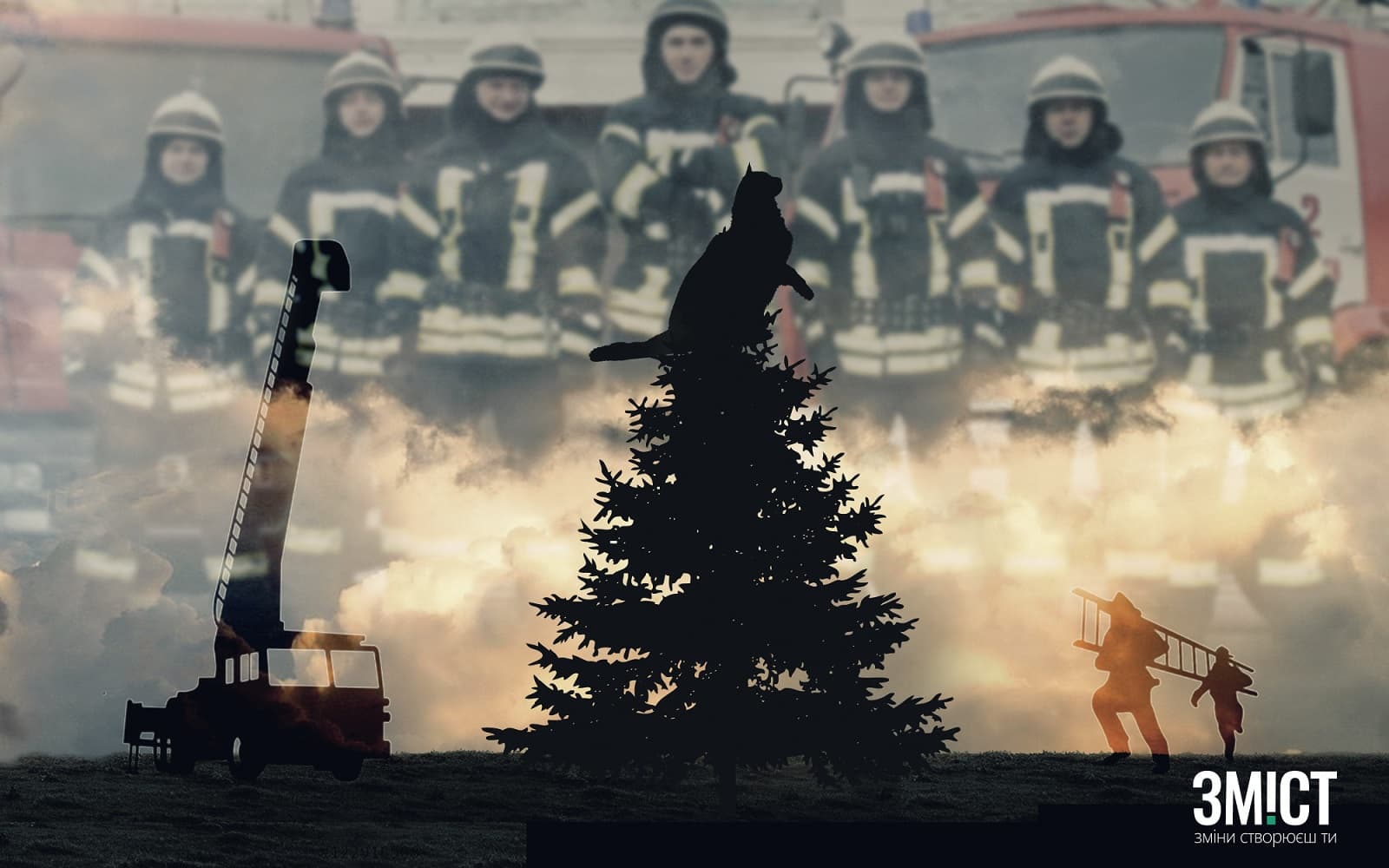 «Телебачення Торонто» показало сюжет журналістки з Полтавщини про «спецоперацію» порятунку кішки