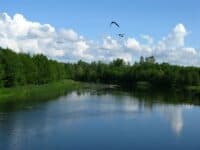 Фахівчиня водоканалу розкаже про загрозу зникнення водойм Полтавщини