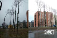 Чому обпилюють дерева у Полтаві: версії еколога, дендролога та комунальника
