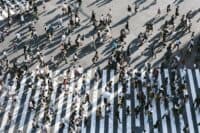 У Полтаві проведуть вуличну акцію «Безпечний перехід»