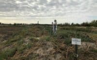 На Кременчуцькій птахофабриці науковці відібрали зразки з місця тимчасового захоронення курей