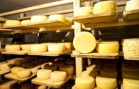 Підприємець планує відкрити музей-колекцію швейцарського сиру у центрі Полтави