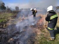 На Полтавщині з початку року ДСНСники ліквідували понад 800 пожеж