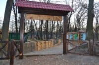 Місця відпочинку в лісах під Полтавою: куди поїхати на вихідні