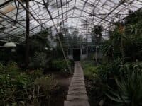 Фотоекскурсія ботанічним садом у Полтаві
