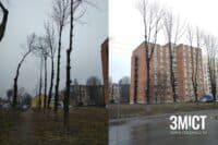 У Полтаві протягом року спиляли 4 тис. дерев, висадили разом із кущами – 395