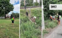До кінця липня комунальники планують завершити перший етап обробки амброзії