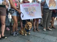 Ця жінка розв’язала проблему міста, а тепер влада абстрагувалась – відбулася акція на підтримку собак із «притулку» на Небесної Сотні