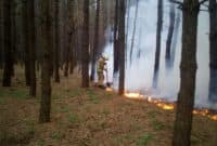 На Полтавщині внаслідок займань було знищено 283 га сухої рослинності