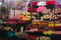 Алея квітів замість стихійних наметів: у міськраді підготували рекомендації для підприємців до 8 березня