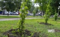 План висадки дерев у Полтаві на рік: місця та сорти
