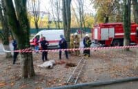 «Полтававодоканал» має ліквідувати провалля на Алмазному – рішення комісії