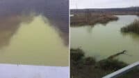 Проби води забрудненої річки Коломак на Полтавщині передадуть на друге дослідження