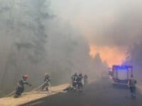 Зведений загін лісівників Полтавщини вирушив гасити пожежі у Луганській області