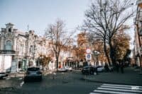 У Полтаві потрібно спиляти понад 2 тисячі дерев