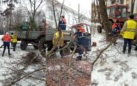 Під час святкових вихідних комунальники прибрали у Полтаві понад 100 дерев