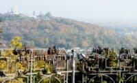У Полтаві розчистять від сміття оглядовий майданчик