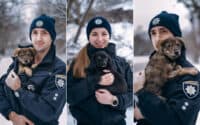 Полтавські патрульні влаштували фотосесію з безпритульними песиками