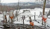 «Ми надихаємо людей», – власник зеленої садиби на Полтавщині