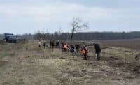 На Полтавщині відновлюють лісосмуги: висаджують фруктові дерева