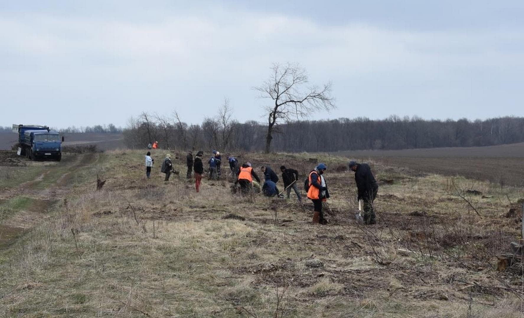 На Полтавщині відновлюють лісосмуги: висаджують фруктові дерева