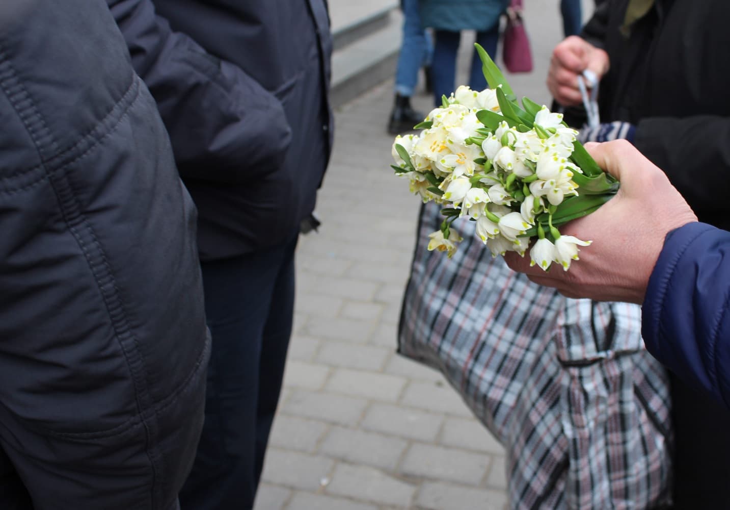 Продаж первоцвітів на Полтавщині. Ілюстративна світлина.