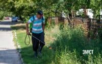Полтава замовляє послуги для боротьби з амброзією за понад 4 мільйони гривень – раніше це робили комунальники