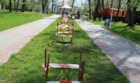 На Полтавщині з’явилася алея магнолій