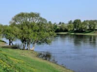 Понад половина пляжів Полтавщини – стихійні. Як місцева влада може узаконювати локації