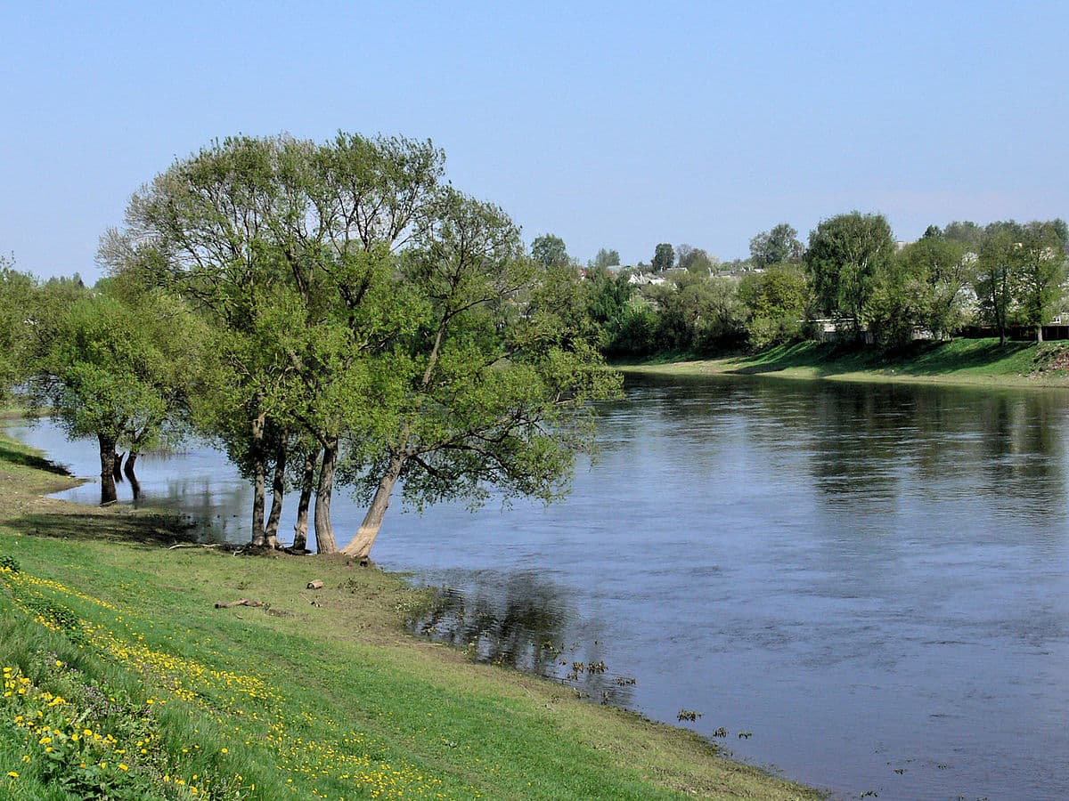 Ілюстративне фото