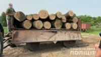 Поліція Полтавщини викрила групу людей, яка займалася незаконною порубкою дерев
