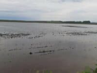 Полтавщина належить до областей, які найбільше постраждають від змін клімату – результати дослідження