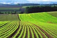 Ринок землі на Полтавщині: які документи потрібні для купівлі та продажу