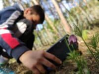 Дозвілля на Полтавщині. Ландшафтний парк влаштовує фотоквест