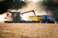 Понад 20% більше, аніж торік: на Полтавщині зріс урожай зернових